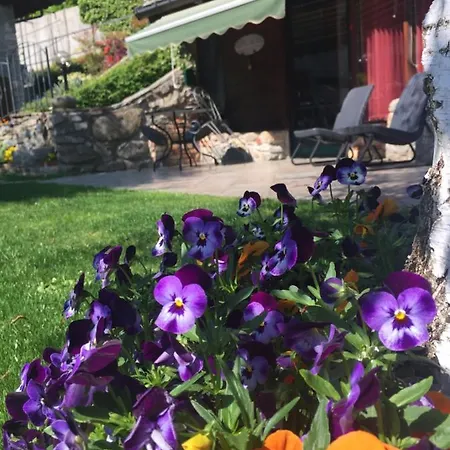 Tatil Evi Balma Dei Cup Con Privata Su Richiesta *