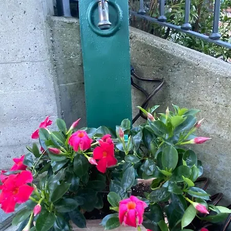 Balma Dei Cup Con Privata Su Richiesta *