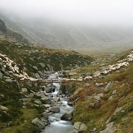 Hébergement de vacances Balma Dei Cup Con Privata Su Richiesta