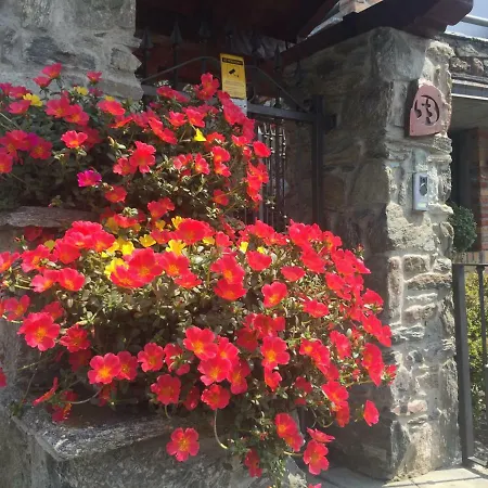 Balma Dei Cup Con Privata Su Richiesta *